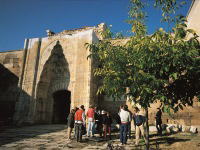 �X���^���n���E�L�����o���T���C/�A�N�T���C�@(C)AKGUN AKOVA(1346-898)